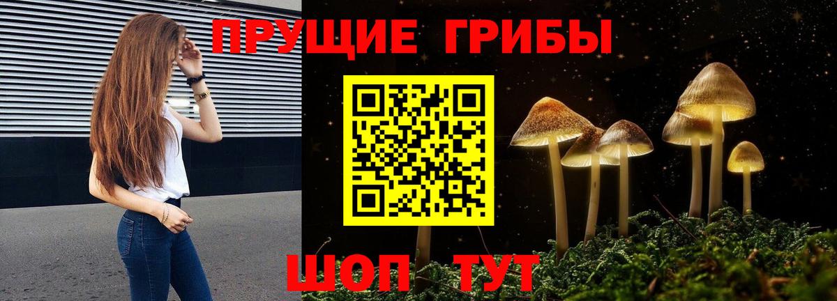 Псилоцибиновые грибы Psilocybine cubensis Воскресенск