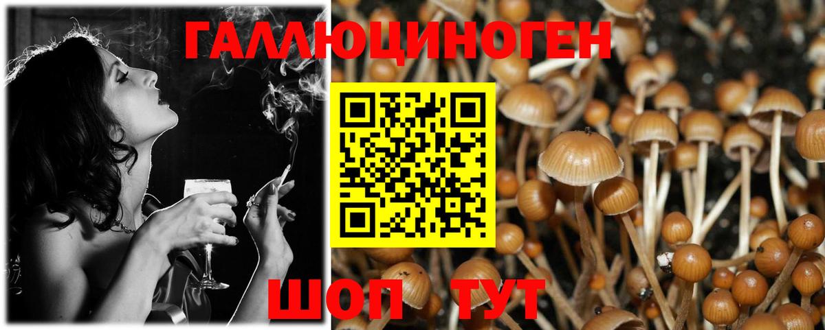 Галлюциногенные грибы MAGIC MUSHROOMS  Вход с VPN  Воскресенск 